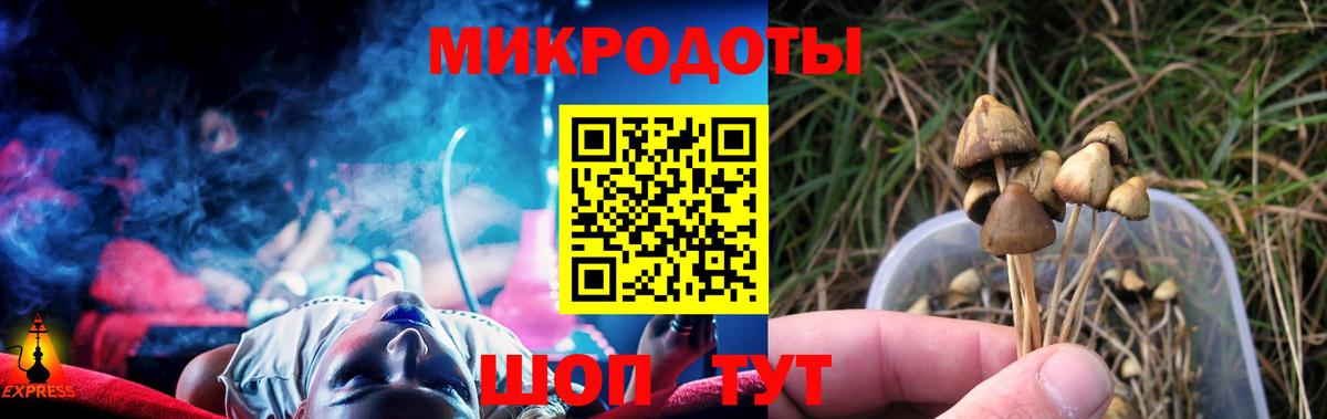 Галлюциногенные грибы MAGIC MUSHROOMS Карачаевск